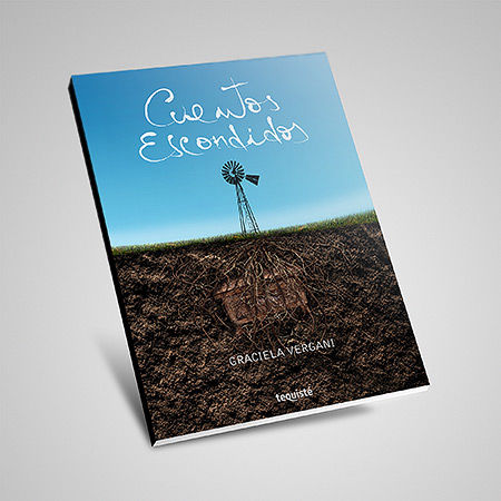 cuentos escondidos vergani graciela cuentos libro tequiste