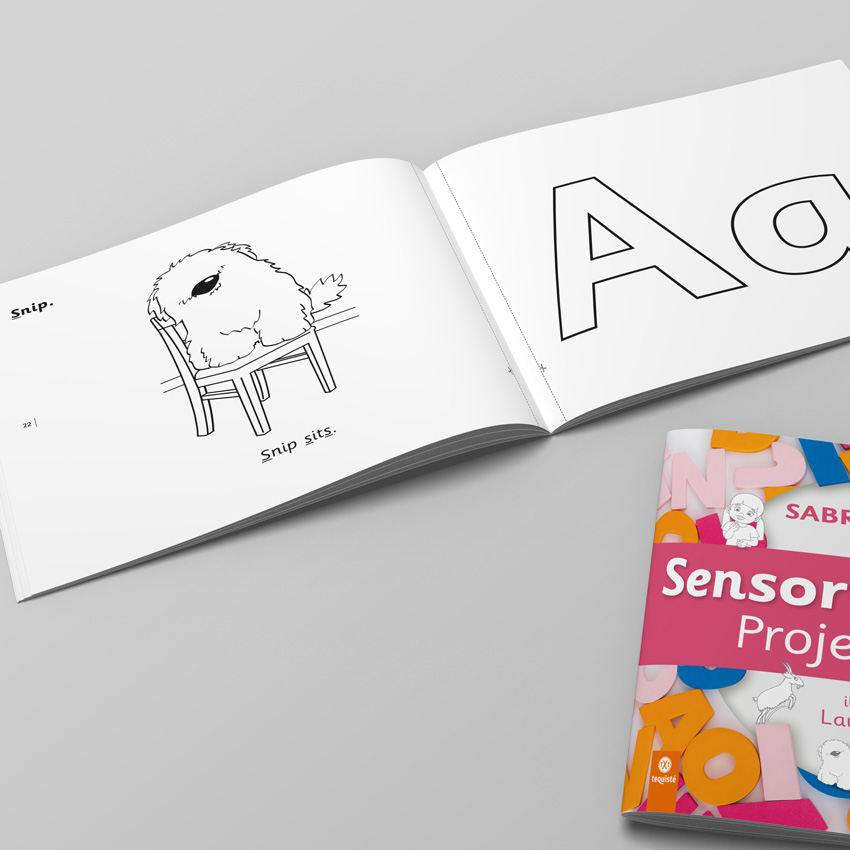 sensory phonics project book - rossi sabrina - tequiste